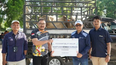 INALUM Bukukan Laba USD123,7 Juta, Jadi Motor Hilirisasi Aluminium Indonesia