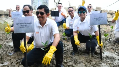 INALUM Perkuat Strategi Dekarbonisasi melalui Restorasi Mangrove Bersama Grup MIND ID