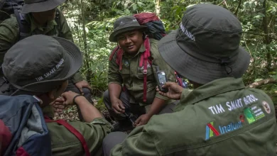 INALUM Perkuat Patroli Hutan dan Edukasi Konservasi di Taman Nasional Gunung Leuser