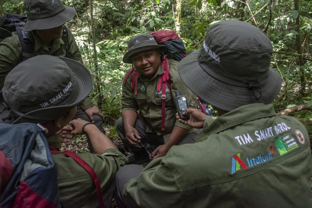 INALUM Perkuat Patroli Hutan dan Edukasi Konservasi di Taman Nasional Gunung Leuser
