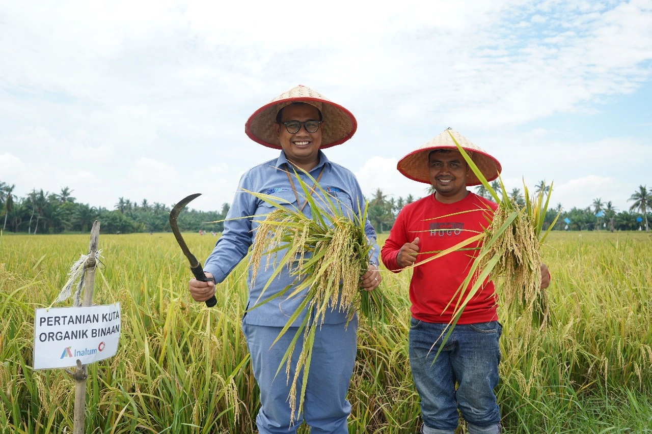 INALUM Dukung Pertanian Berkelanjutan Lewat Penerapan Metode Tani Nusantara di Kuala Tanjung