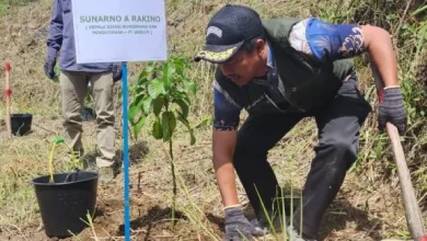 INALUM Tanam 600 Pohon, Tanda Dimulainya Penghijauan 500 Hektar di DTA Danau Toba