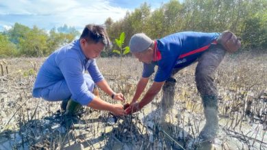 Menjaga Mangrove, Mengamankan Generasi Masa Depan
